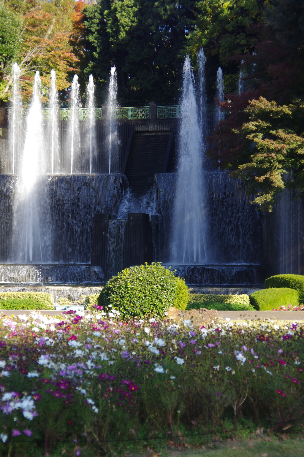 花壇広場から