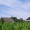 里山風