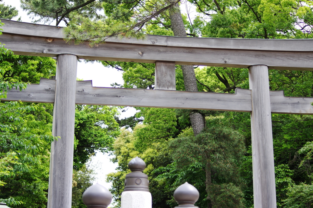 木の鳥居と太鼓橋