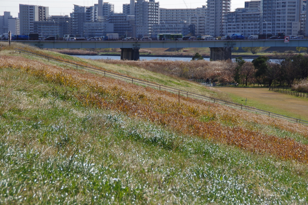 荒川土手からの風景　２