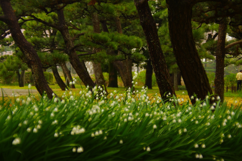 左向きかたや右向き　2017年4月