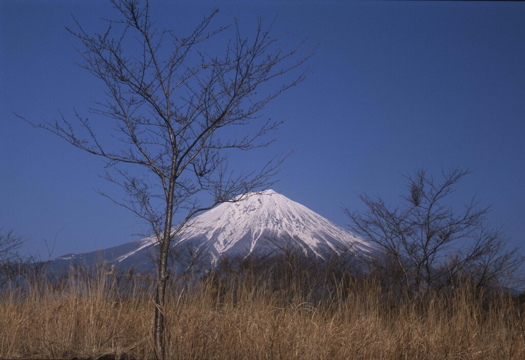 富士山３