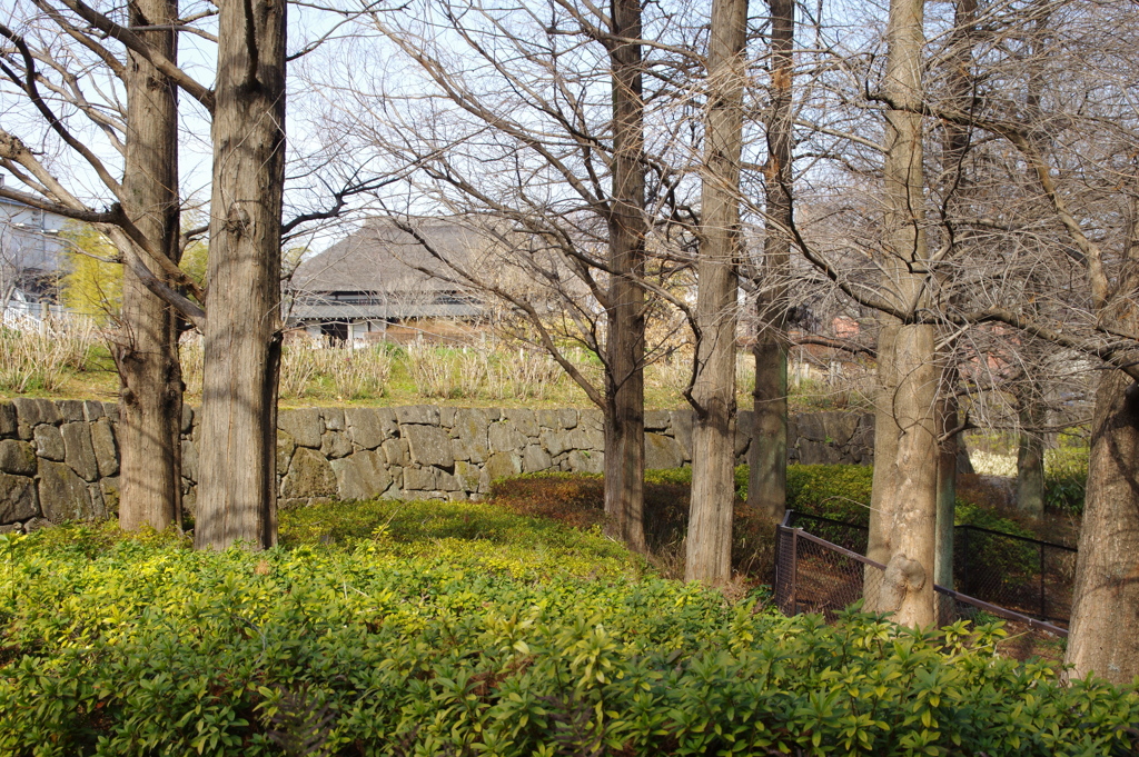 風景（都市農業公園）