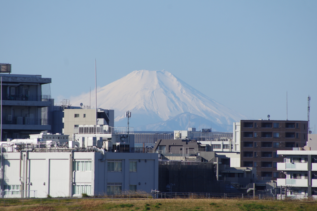 富士山