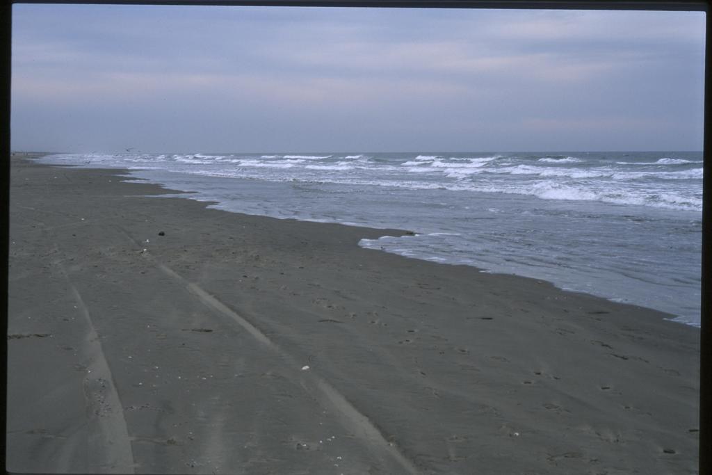 砂浜　１