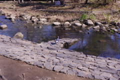 気持ちいいだろうな