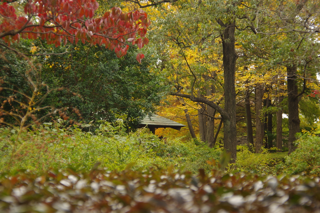 公園の風景