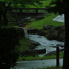 雨の1日