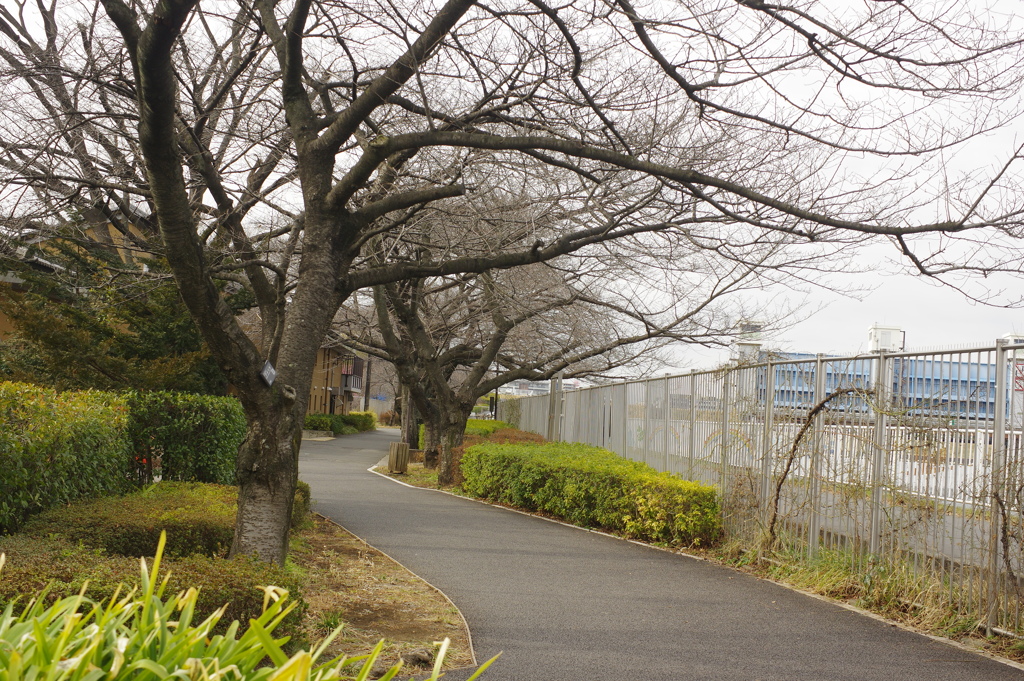 都市農業公園の駐車場脇から
