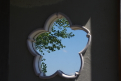 花びらふうからの眺め