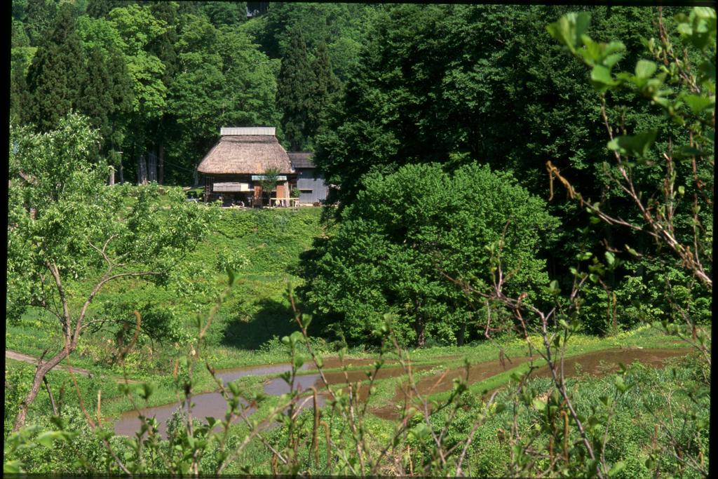 わらぶき屋根の家