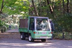 自然教育園で見かけた作業車