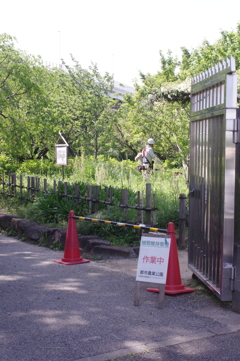 作業中