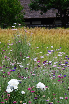 花のある風景
