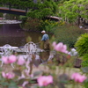 池の清掃