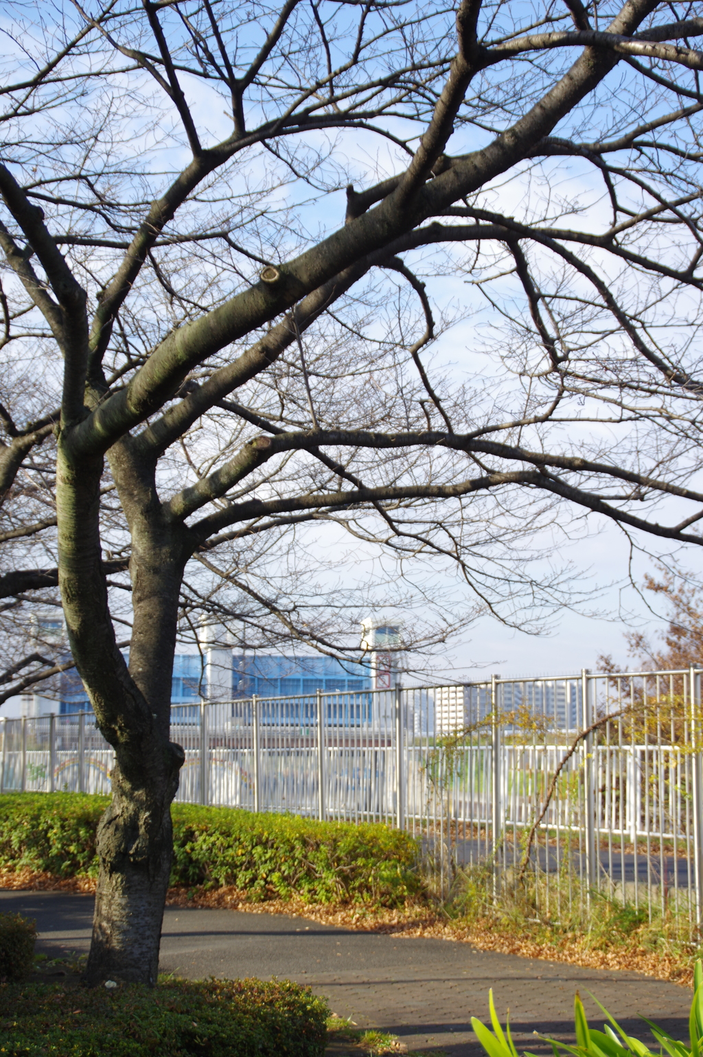風景