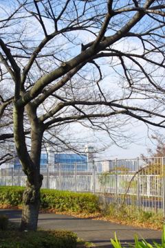 風景