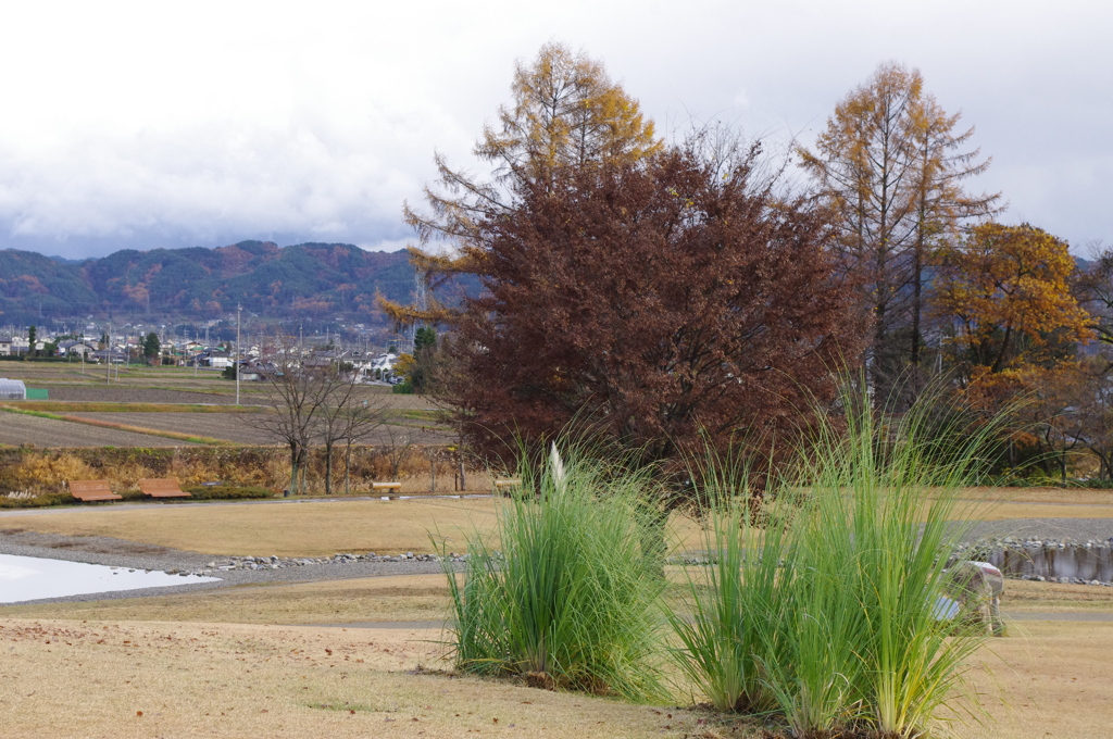 風景　２