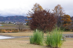 風景　２