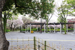 風景