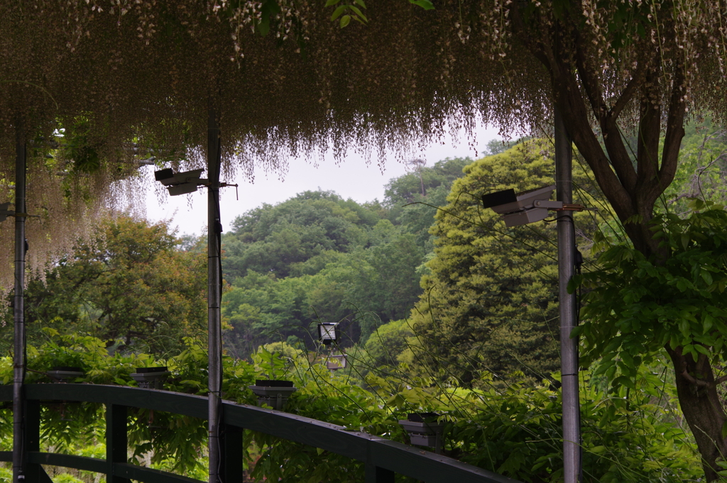 ほっとする風景
