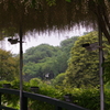 ほっとする風景