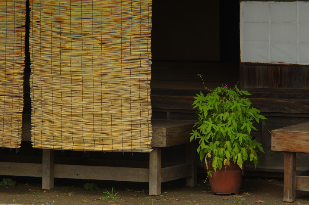 涼しいかな