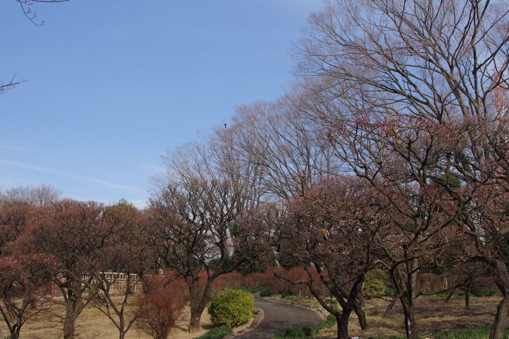 風景