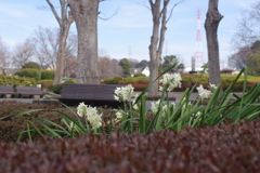 公園の風景