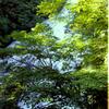 豪快な流れ