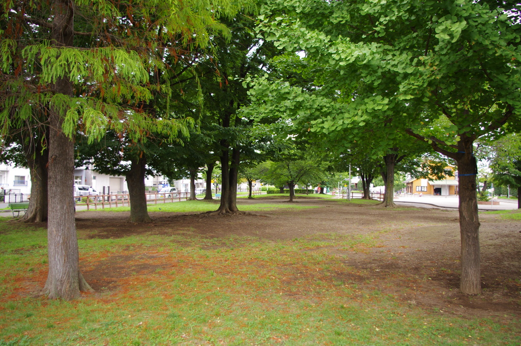公園