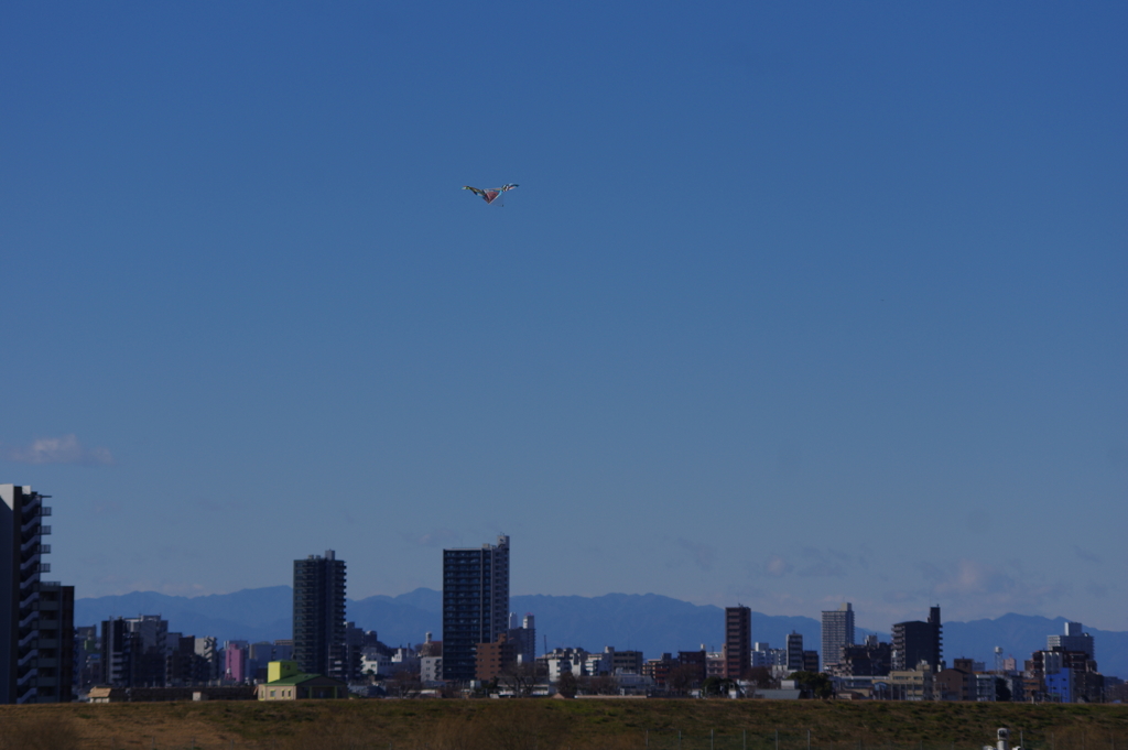 天空に舞う