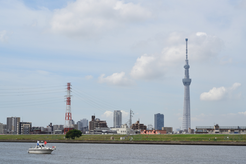 初夏