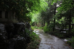 雨の静けさ