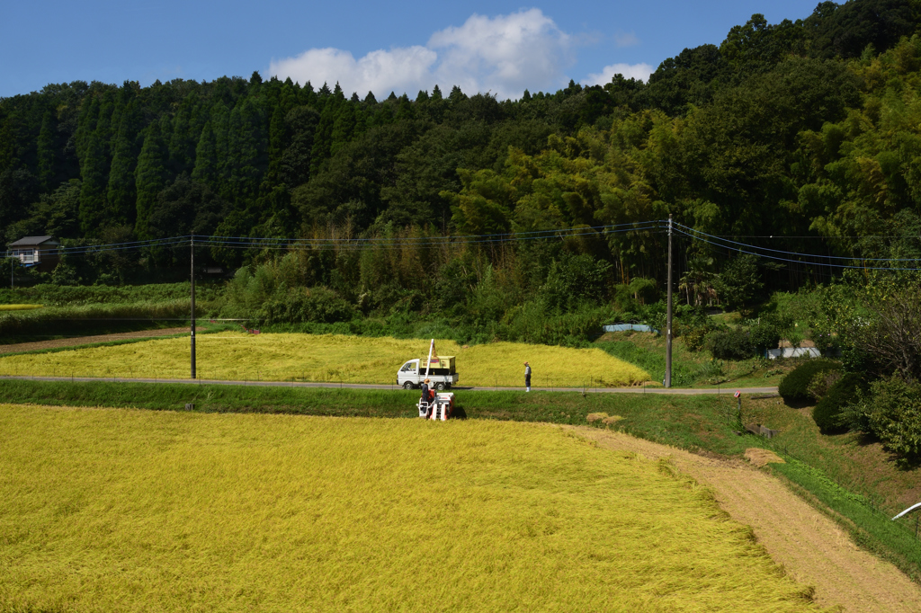 小湊鉄道車窓より　３