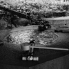 水音