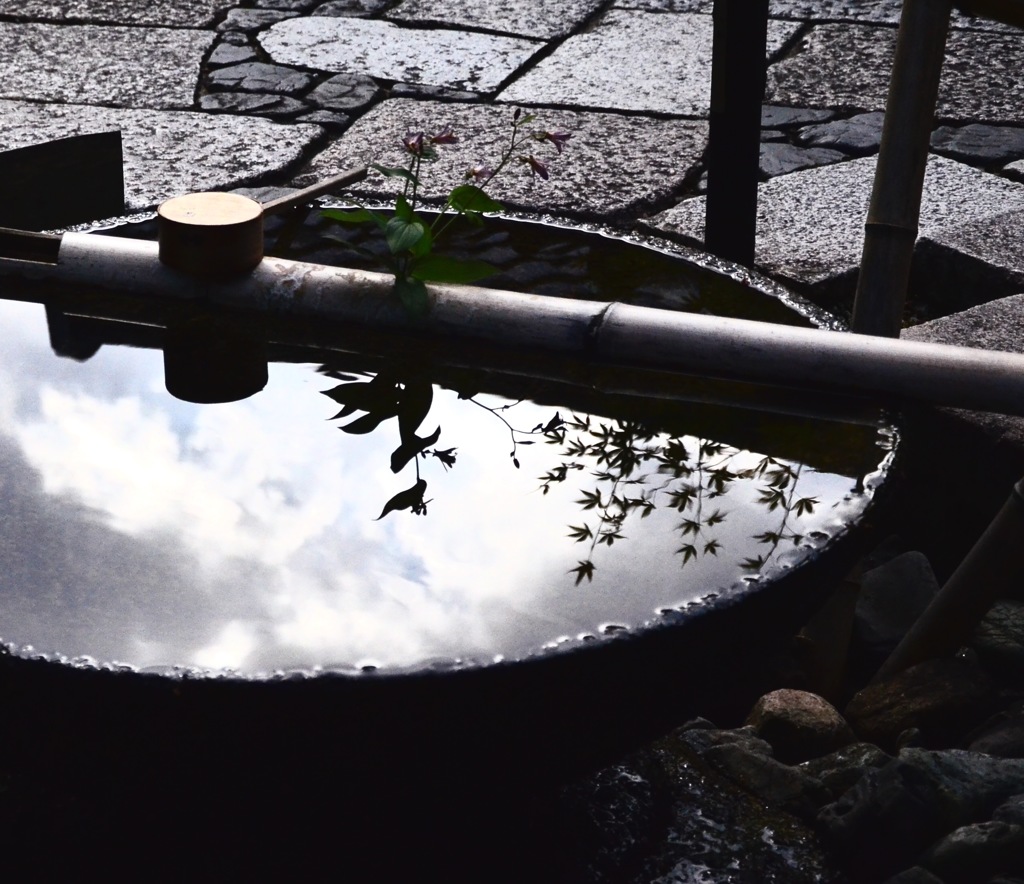 京都散策(トリミング)