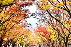 地元三景