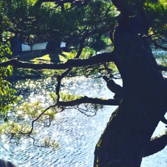 日本庭園