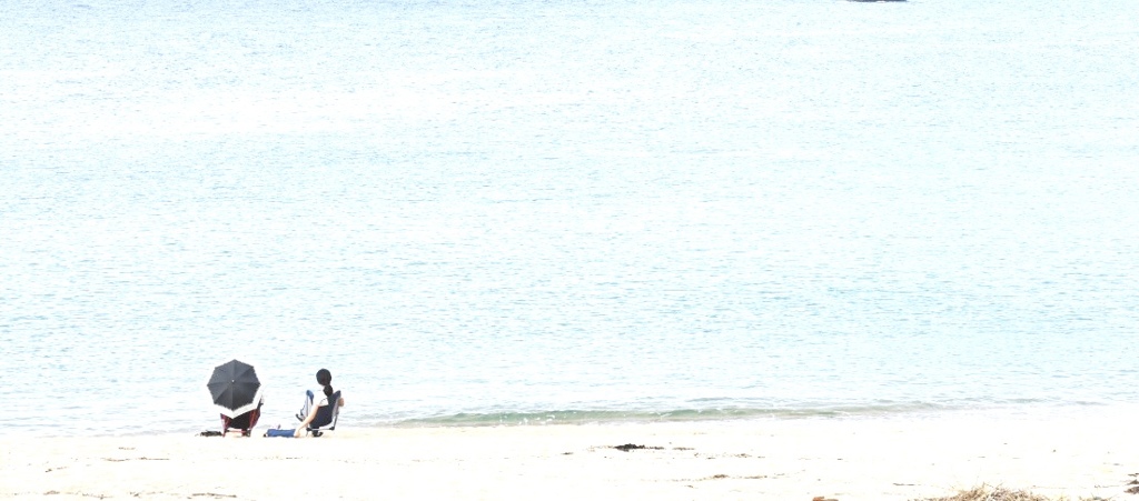 海辺の家族