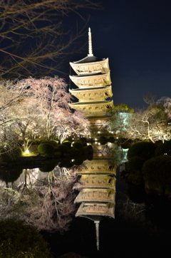 東寺