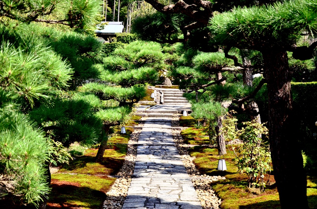 京都散策