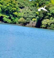 山田池公園