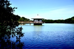 山田池公園