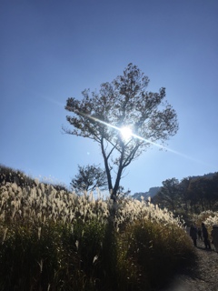 砥峰高原