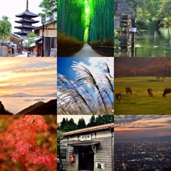 今年のまとめ