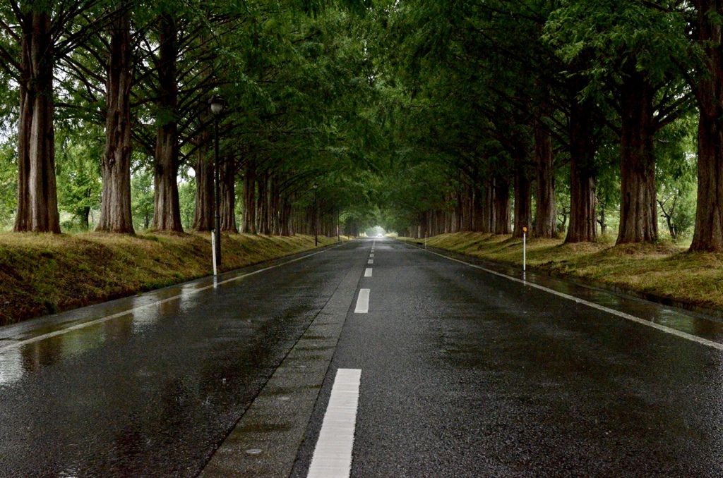 雨の風情