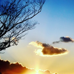 夕焼け