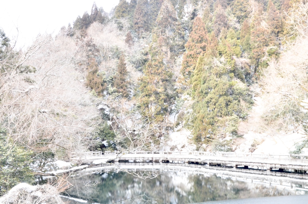 もみじ池