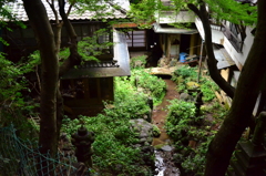 石清水八幡宮の参道から見える庭